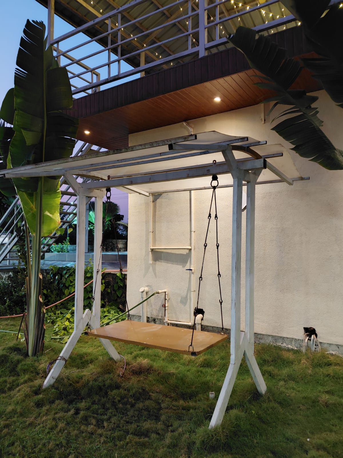 WhatsApp Image 2025 12 12 at 1.31.23 PM