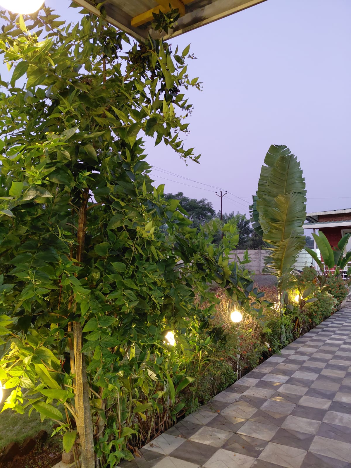 WhatsApp Image 2025 12 12 at 1.31.24 PM 2