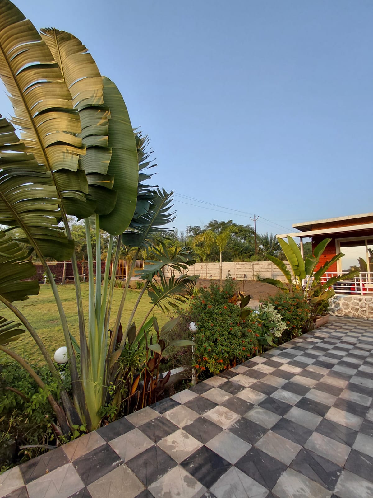 WhatsApp Image 2025 12 12 at 1.31.26 PM